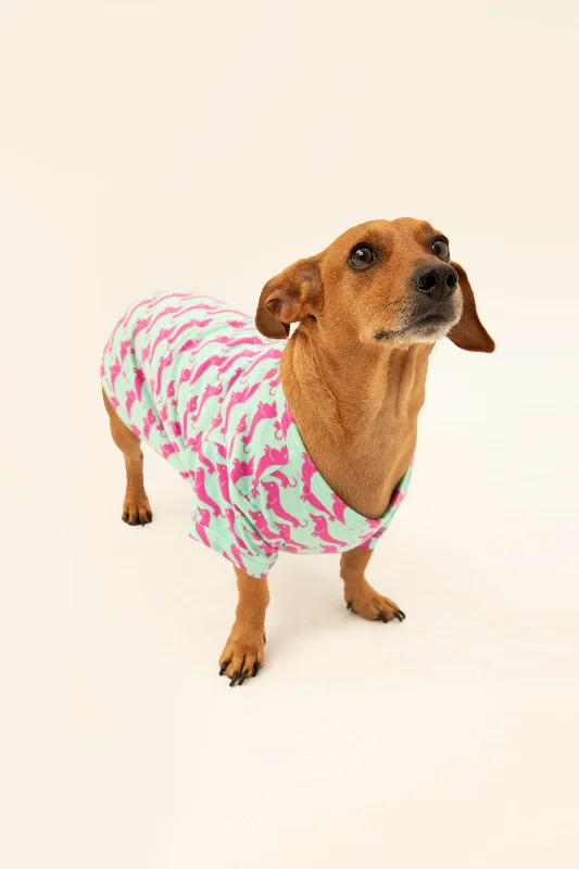 dog-walk-pet-pajama