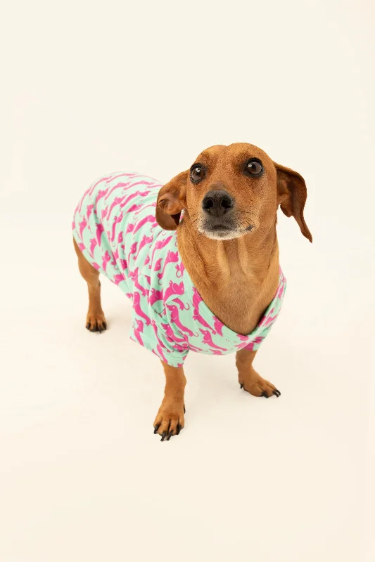 dog-walk-pet-pajama