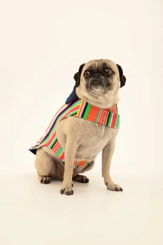 stripe-lined-pet-pajama