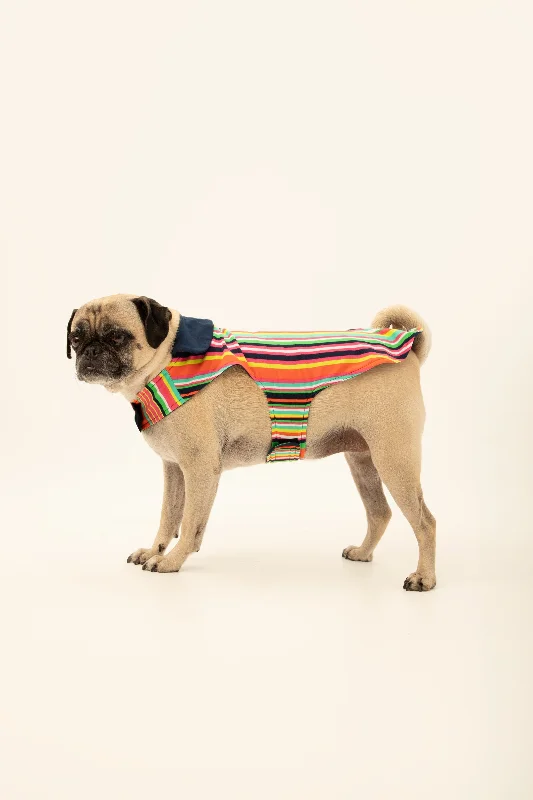 stripe-lined-pet-pajama